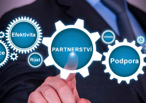 partnerství